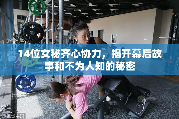 14位女秘齐心协力，揭开幕后故事和不为人知的秘密