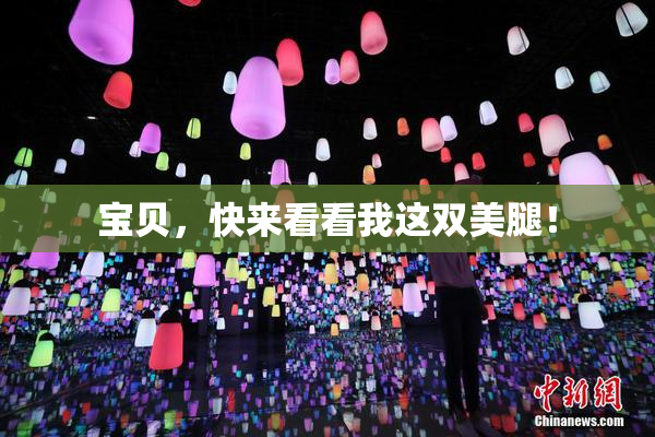 宝贝，快来看看我这双美腿！