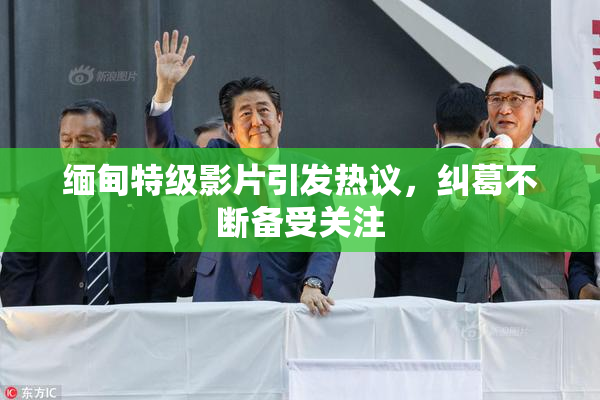 缅甸特级影片引发热议，纠葛不断备受关注