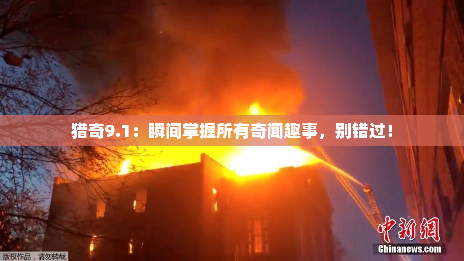 猎奇9.1：瞬间掌握所有奇闻趣事，别错过！