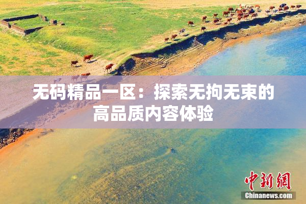 无码精品一区：探索无拘无束的高品质内容体验