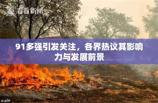 91多强引发关注，各界热议其影响力与发展前景