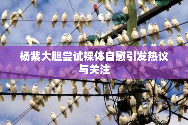 杨紫大胆尝试裸体自慰引发热议与关注