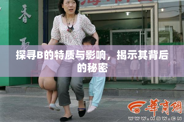 探寻B的特质与影响，揭示其背后的秘密