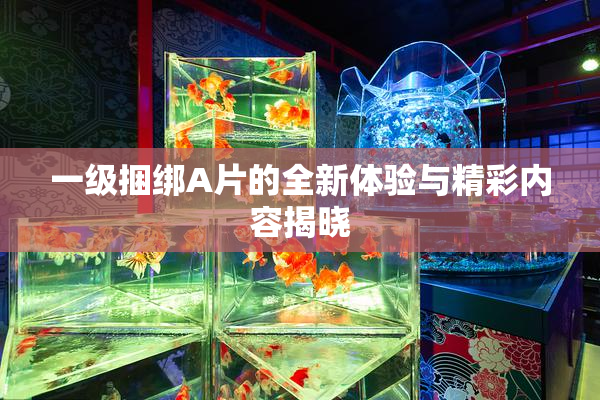 一级捆绑A片的全新体验与精彩内容揭晓