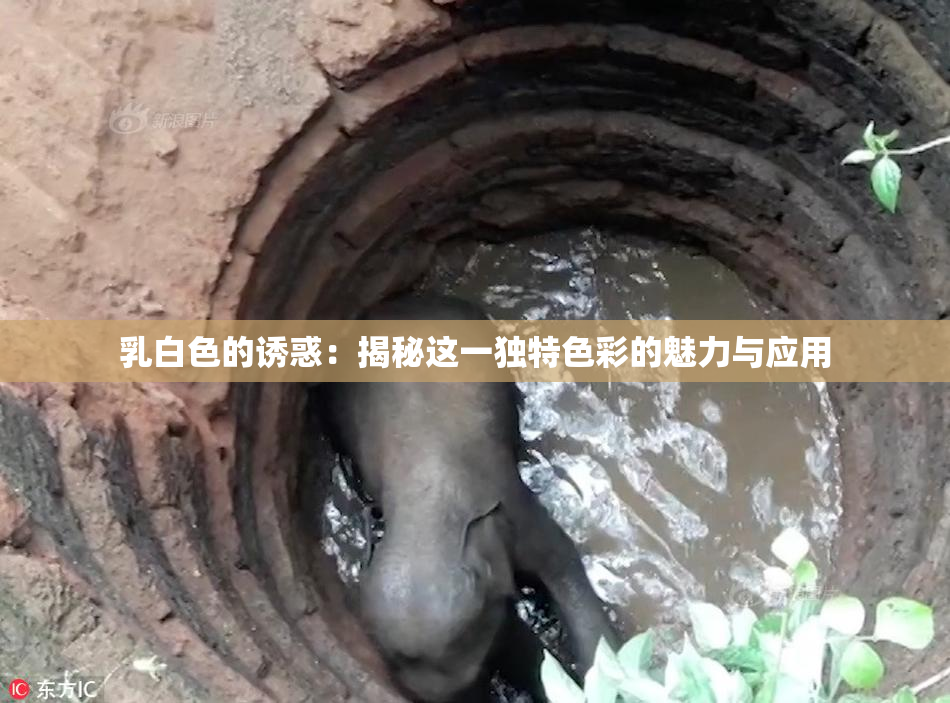 乳白色的诱惑：揭秘这一独特色彩的魅力与应用