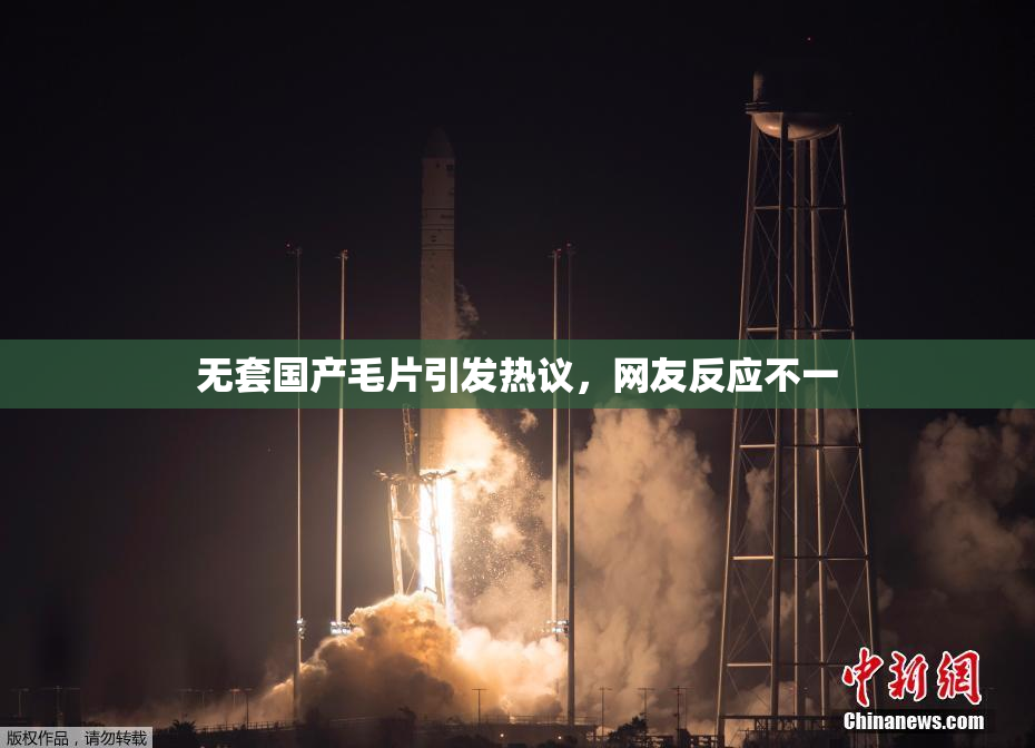 无套国产毛片引发热议，网友反应不一