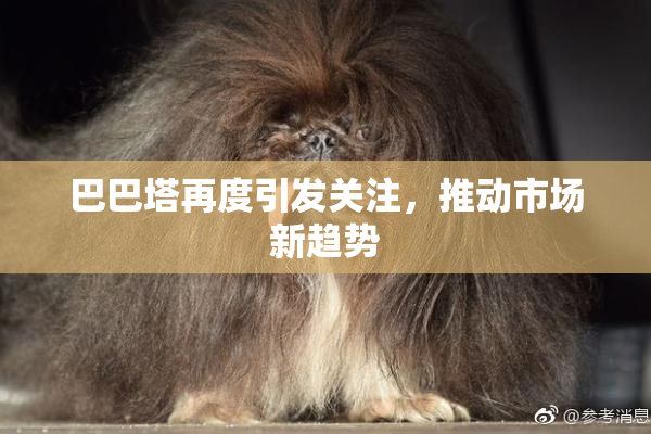 巴巴塔再度引发关注，推动市场新趋势