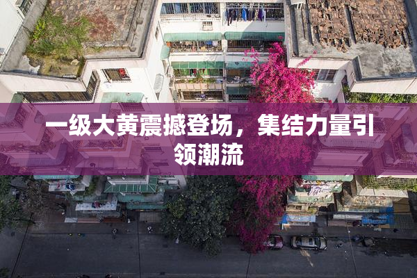 一级大黄震撼登场，集结力量引领潮流
