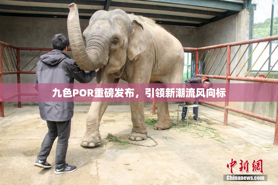 九色POR重磅发布，引领新潮流风向标