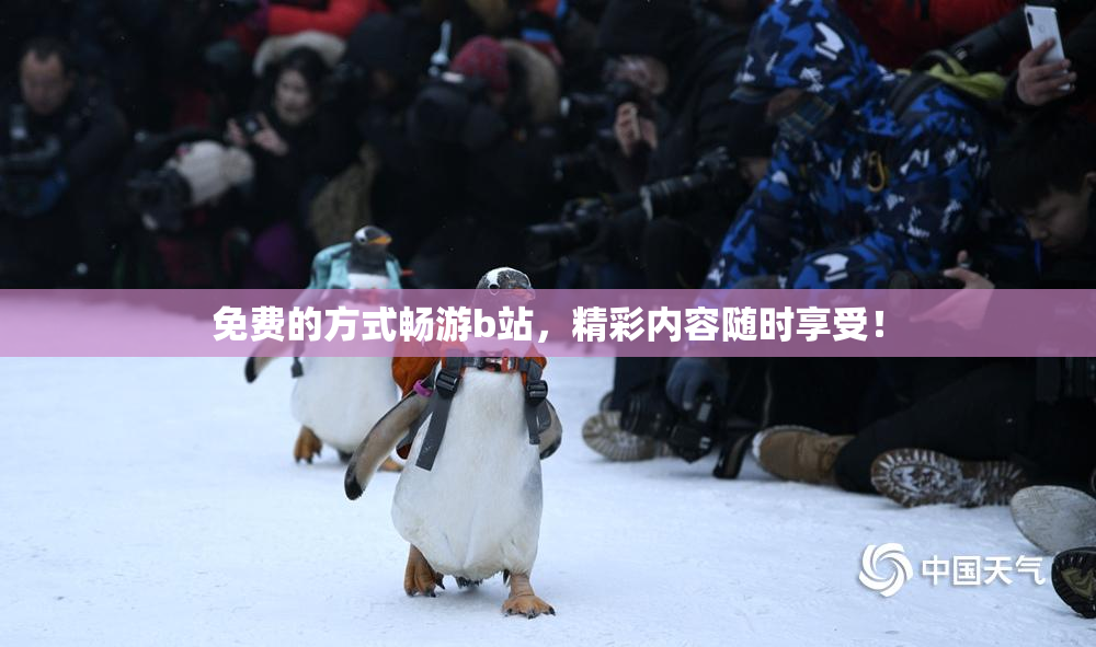 免费的方式畅游b站，精彩内容随时享受！