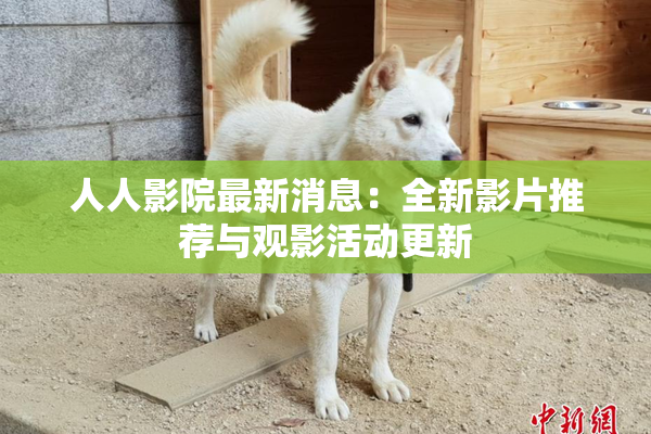 人人影院最新消息：全新影片推荐与观影活动更新