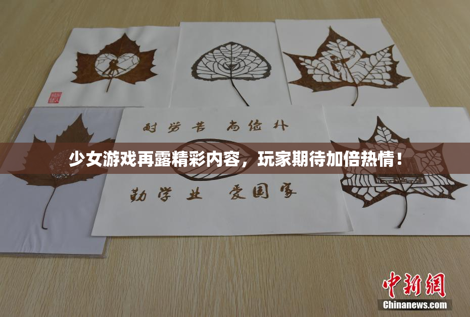 少女游戏再露精彩内容，玩家期待加倍热情！