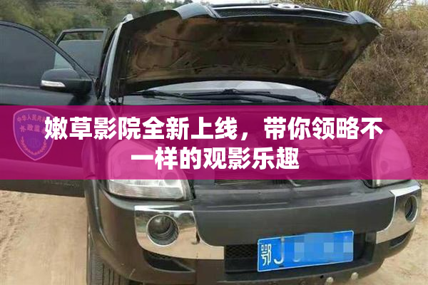 嫩草影院全新上线，带你领略不一样的观影乐趣