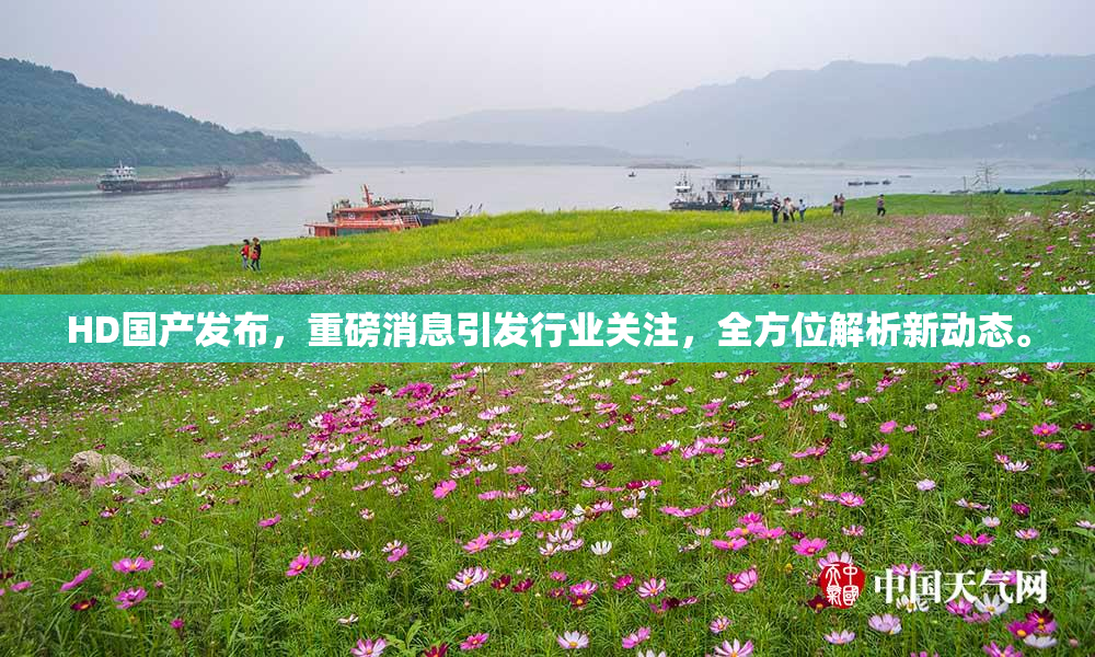 HD国产发布，重磅消息引发行业关注，全方位解析新动态。