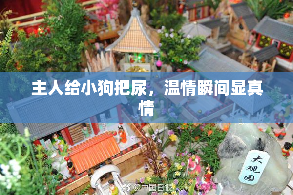 主人给小狗把尿，温情瞬间显真情