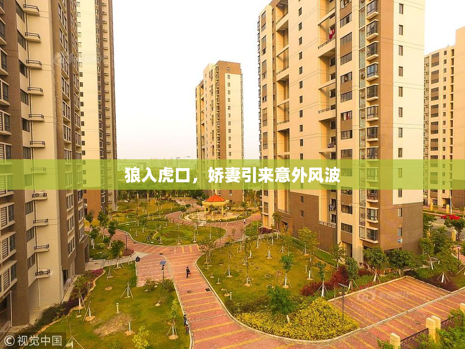 狼入虎口，娇妻引来意外风波