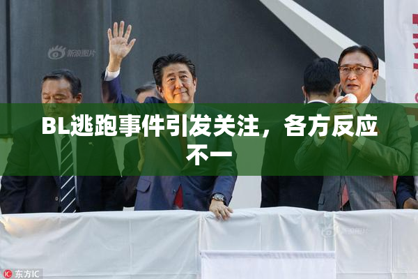 BL逃跑事件引发关注，各方反应不一