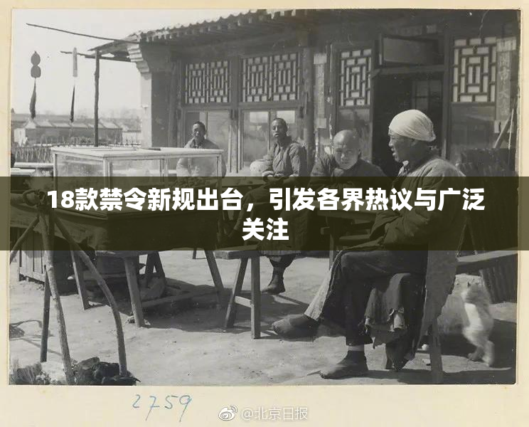 18款禁令新规出台，引发各界热议与广泛关注