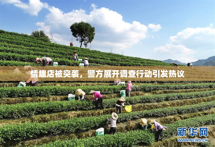 情趣店被突袭，警方展开调查行动引发热议