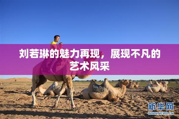 刘若琳的魅力再现，展现不凡的艺术风采