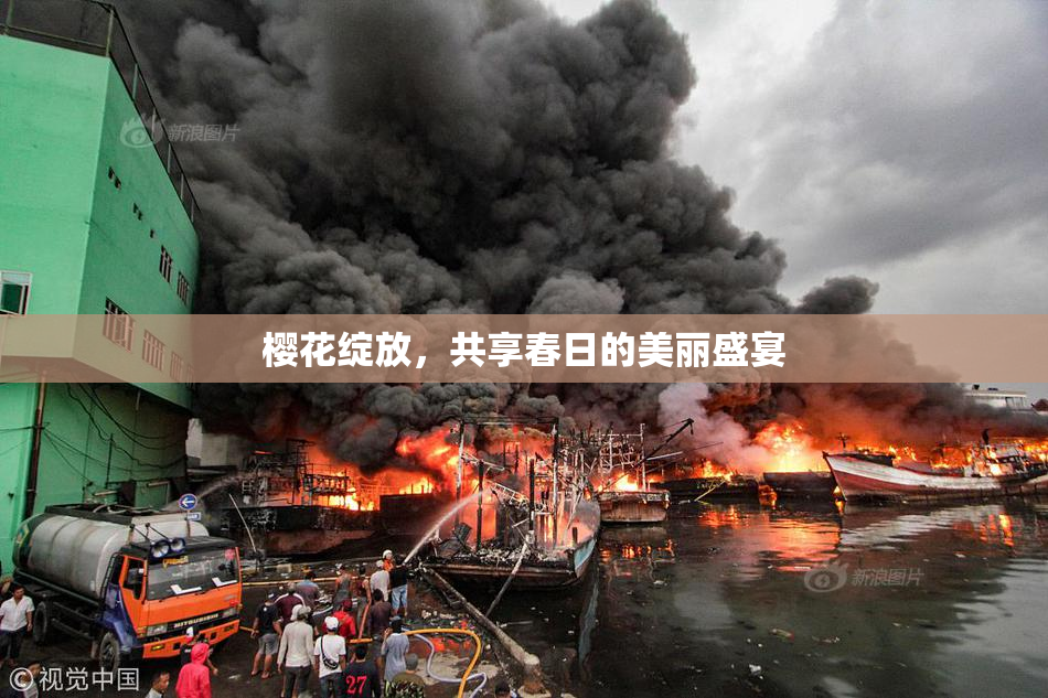 樱花绽放，共享春日的美丽盛宴