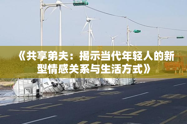 《共享弟夫：揭示当代年轻人的新型情感关系与生活方式》