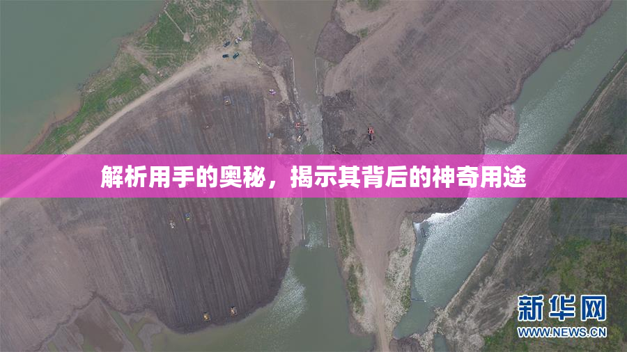 解析用手的奥秘，揭示其背后的神奇用途