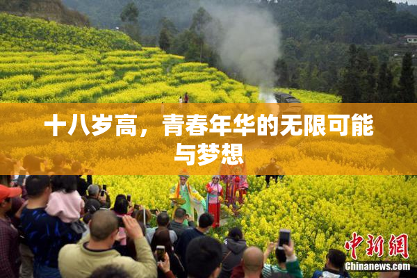十八岁高，青春年华的无限可能与梦想