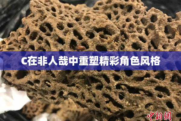 C在非人哉中重塑精彩角色风格