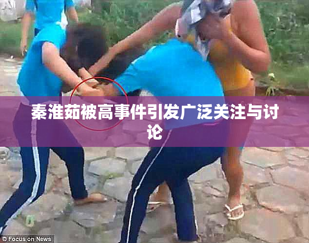 秦淮茹被高事件引发广泛关注与讨论