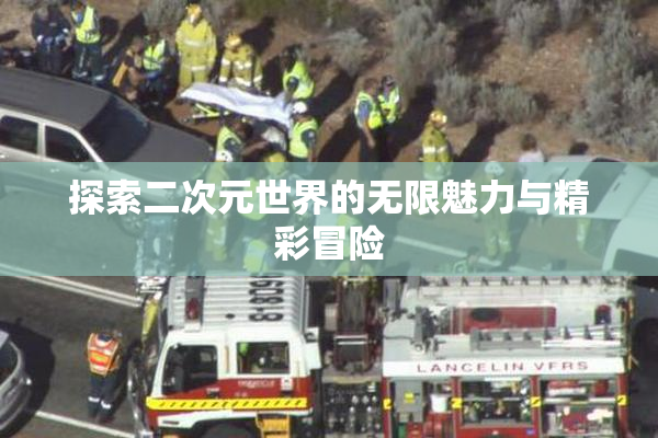 探索二次元世界的无限魅力与精彩冒险