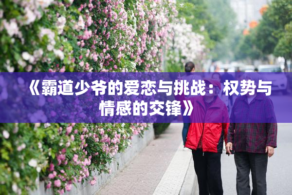 《霸道少爷的爱恋与挑战：权势与情感的交锋》