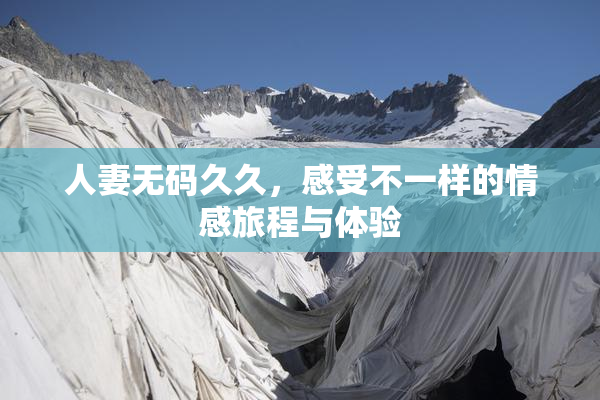 人妻无码久久，感受不一样的情感旅程与体验