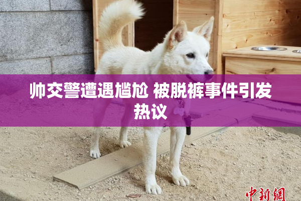 帅交警遭遇尴尬 被脱裤事件引发热议