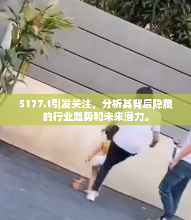 5177.t引发关注，分析其背后隐藏的行业趋势和未来潜力。