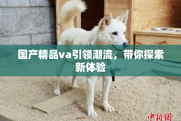 国产精品va引领潮流，带你探索新体验