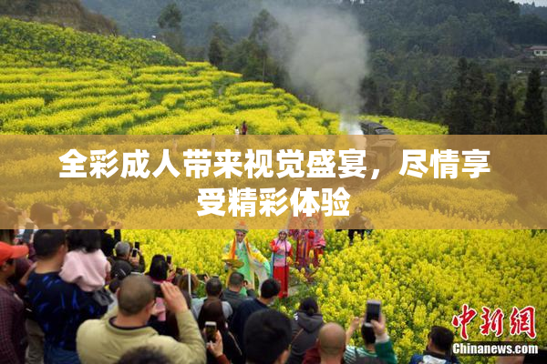 全彩成人带来视觉盛宴，尽情享受精彩体验