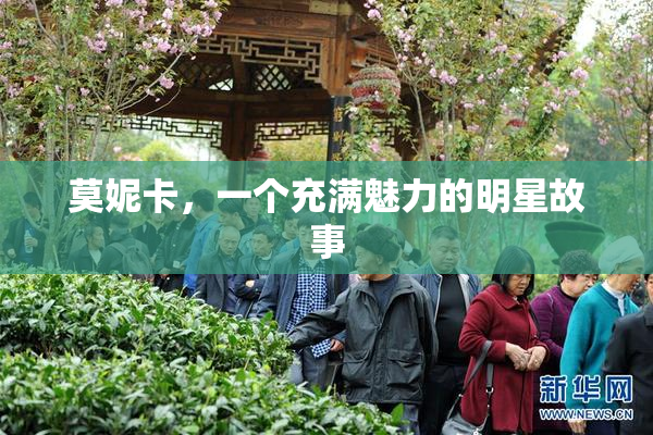 莫妮卡，一个充满魅力的明星故事