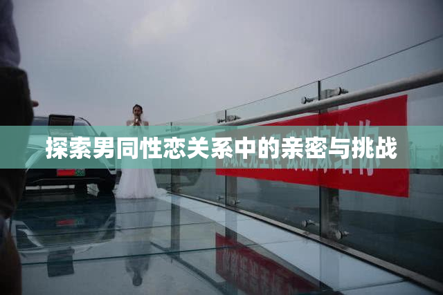 探索男同性恋关系中的亲密与挑战
