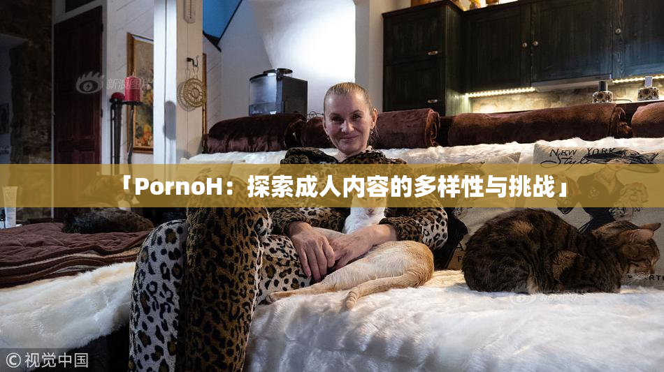 「PornoH：探索成人内容的多样性与挑战」