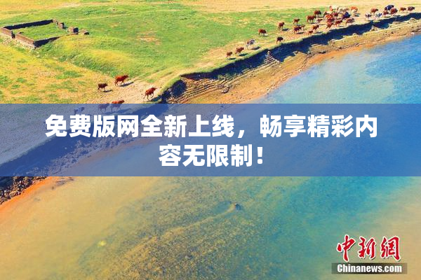 免费版网全新上线，畅享精彩内容无限制！