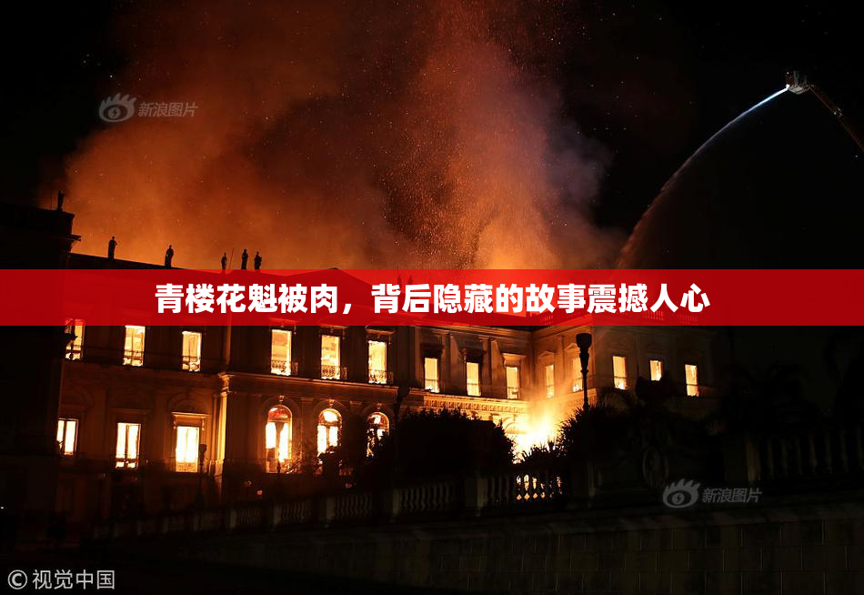青楼花魁被肉，背后隐藏的故事震撼人心
