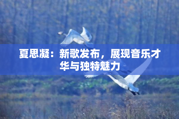 夏思凝：新歌发布，展现音乐才华与独特魅力