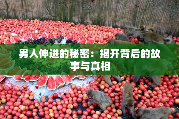 男人伸进的秘密：揭开背后的故事与真相