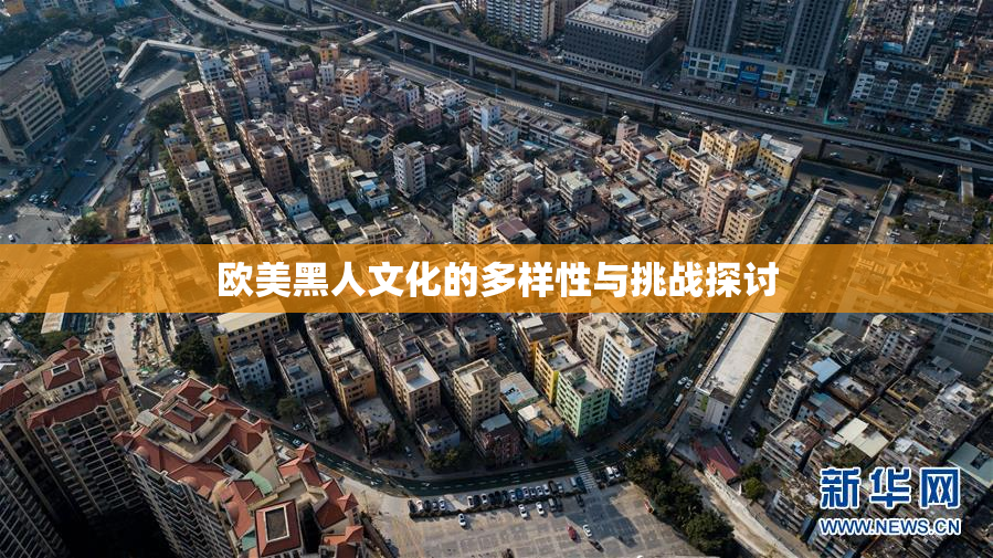 欧美黑人文化的多样性与挑战探讨