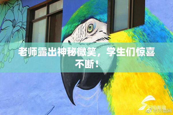 老师露出神秘微笑，学生们惊喜不断！