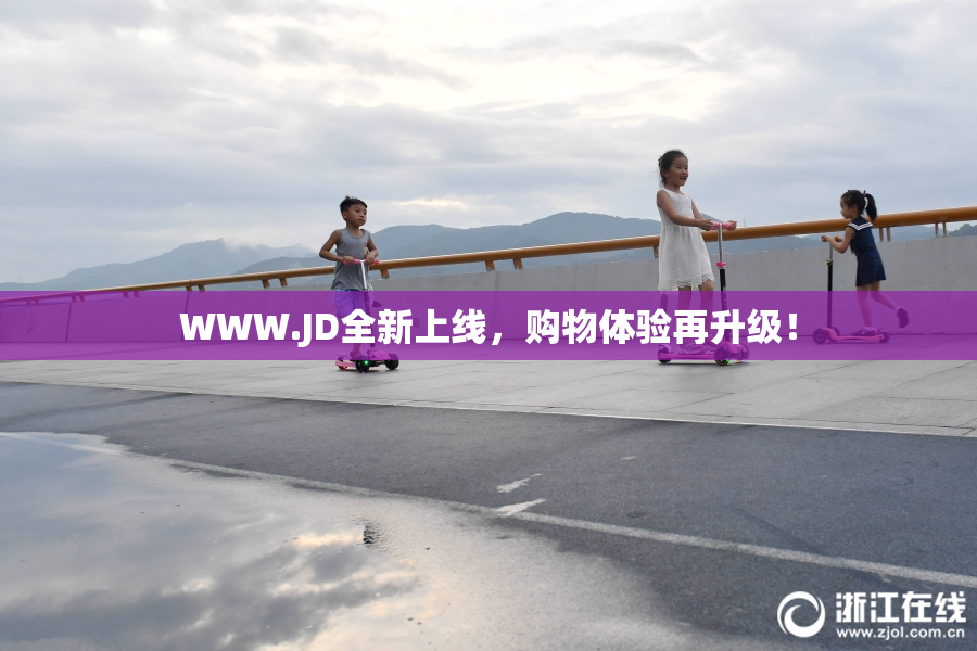 WWW.JD全新上线，购物体验再升级！