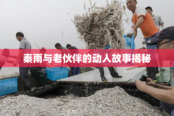 秦雨与老伙伴的动人故事揭秘