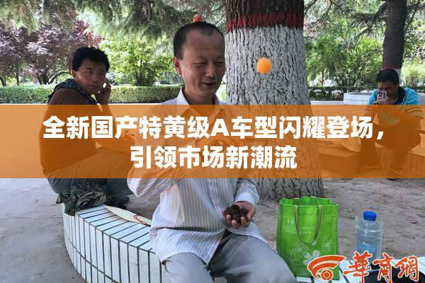 全新国产特黄级A车型闪耀登场，引领市场新潮流